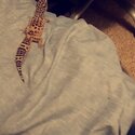 Leopard Gecko-2