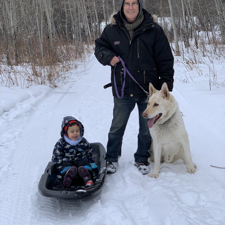 White German Shepard  yard dog