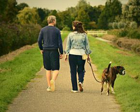 Dog Walking Canada