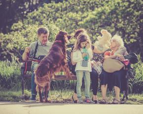 Pet Sitting Canada